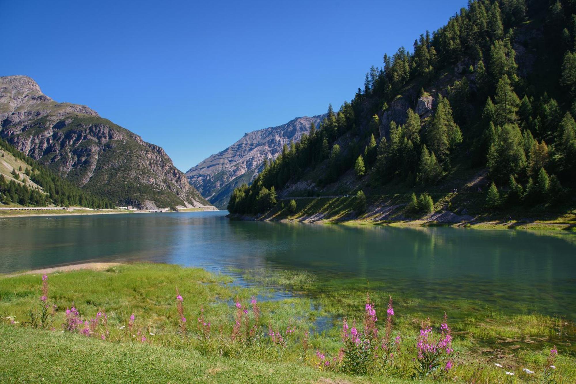 Arianna - Happy Rentals Livigno Dış mekan fotoğraf